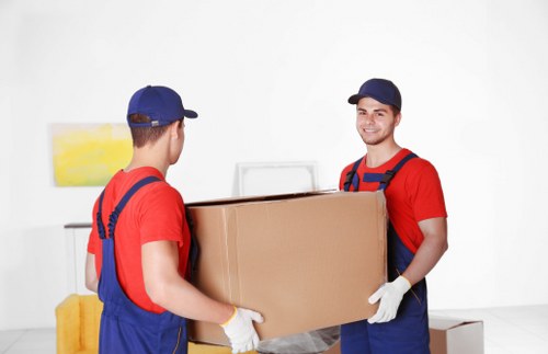 Professional removal team assisting with move